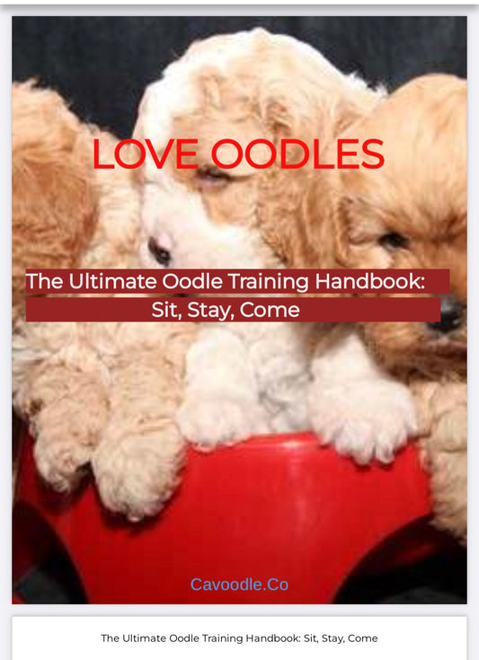 The-ultimate-oodle-training-handbook-sit-stay-come