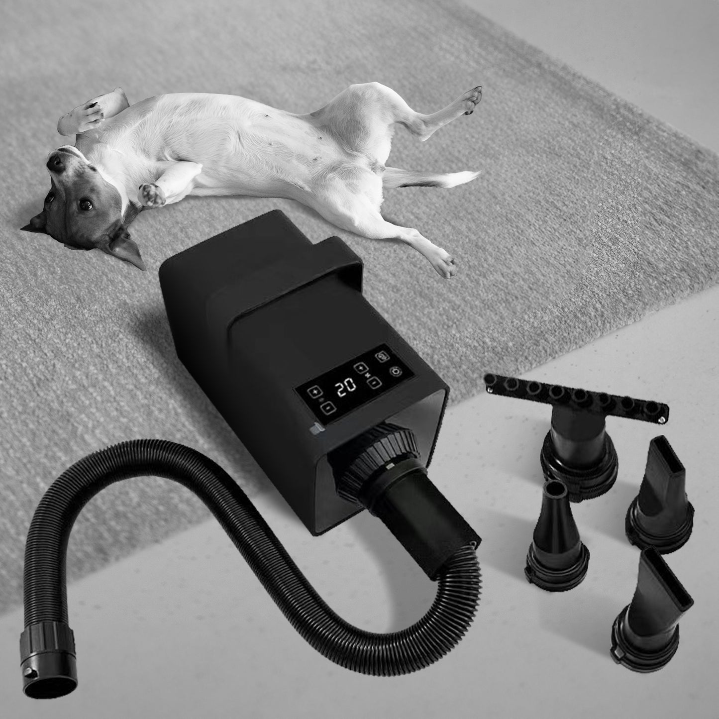 Floofi Pet Hair Dryer (Black)