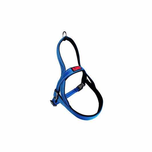 KONG Norwegian Blue Harness Small