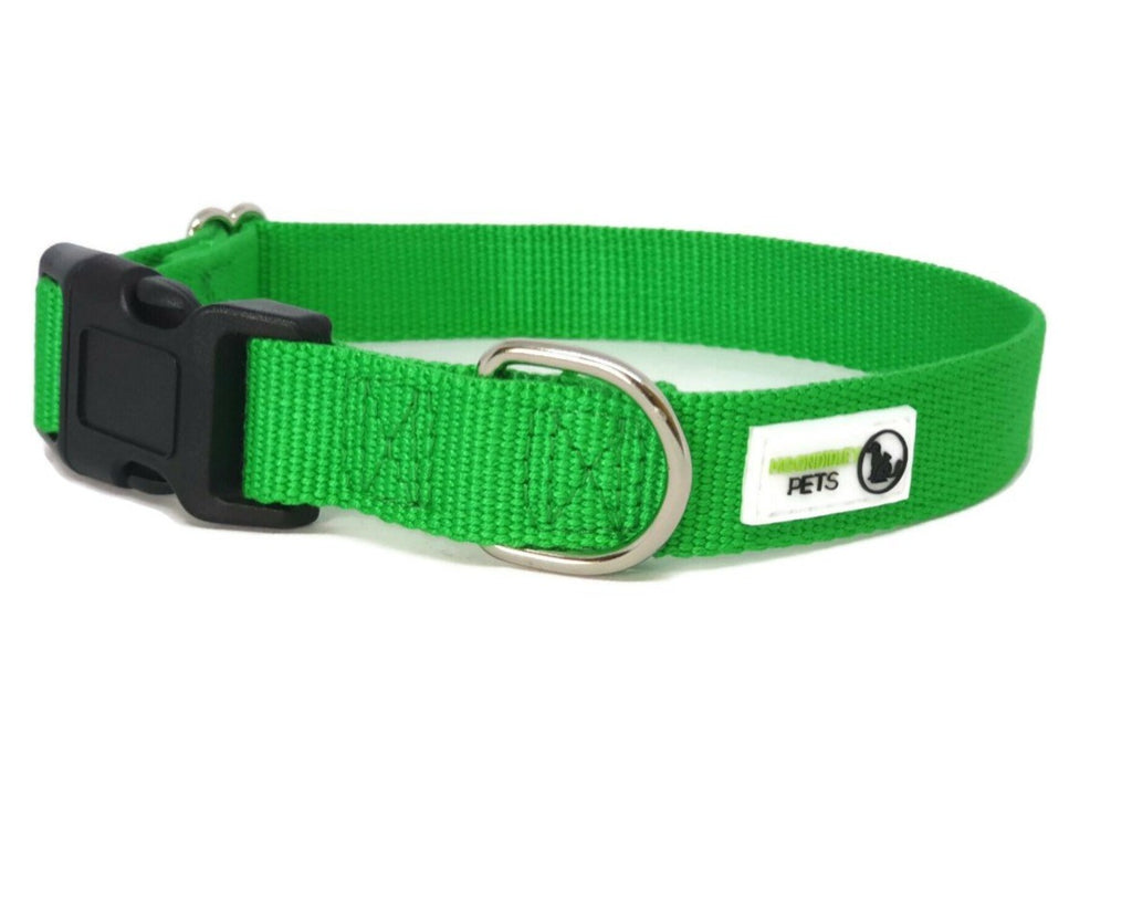 Eco-Friendly Bamboo Fibre Dog Collar with Plastic Buckle – Hypoallergenic & Durable