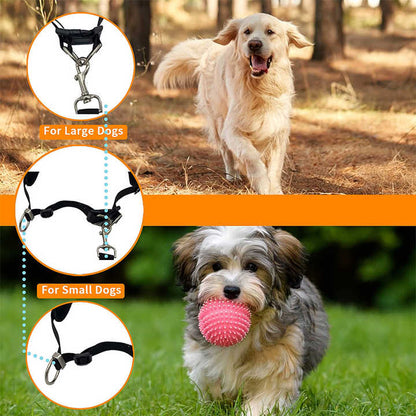 Grey Reflective Pet Waist Bag with Hands-Free Leash for Night Safety - Adjustable Waist Pack with Detachable Pouches