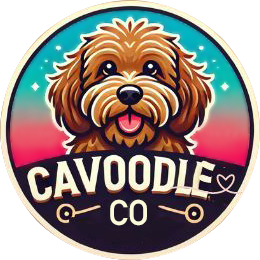 Cavoodle Co